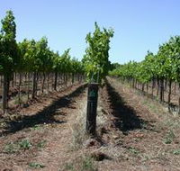 Temple Bruer Winery - Tourism Guide