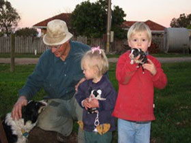 Orrie Cowie Merino And Poll Merino Stud - Tourism Guide 0