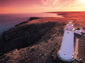 Lashmar Conservation Park - Tourism Guide 0