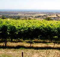 Braydun Hill Vineyard - Tourism Guide