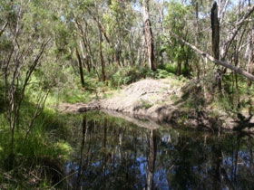 Para Wirra Recreation Park - Tourism Guide 0