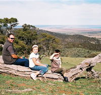 Bridle Track - Tourism Guide
