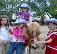 Amberainbow Pony Rides - Tourism Guide