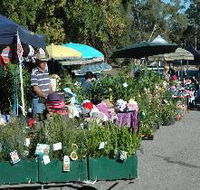 Meadows Monthly Market - Tourism Guide