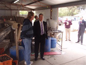 Southern Yorke Oysters - Travel Agents 0