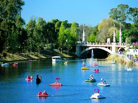Captain Jolleys Paddle Boats - Tourism Guide 0