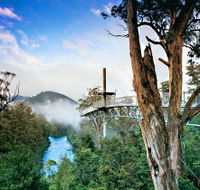 Tahune Adventures Tasmania - Tourism Guide