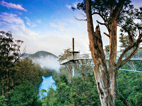 Tahune Adventures Tasmania - Cruises Travel 0