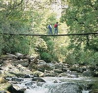 Arve Forest Drive - Tourism Guide