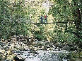 Arve Forest Drive - Tourism Guide 0