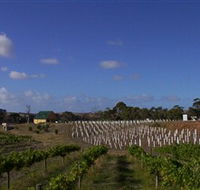 Deep Creek Wines and Alpacas - Tourism Guide