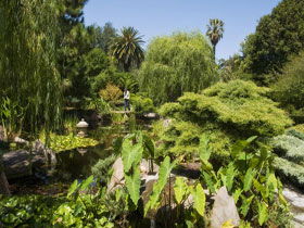 Adelaide Himeji Garden - Tourism Guide 0