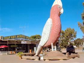 The Big Galah - Cruises Travel 0