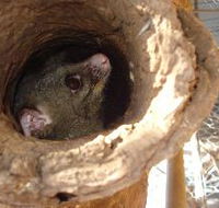 Mulga Sanctuary and Wildlife Park - Tourism Guide
