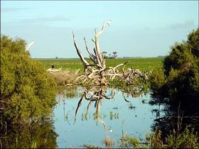 Bool Lagoon Game Reserve And Hacks Lagoon Conservation Park - Tourism Guide 0