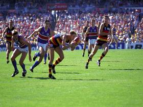 AAMI Stadium Tours - Tourism Guide 0