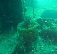 Wallaroo Scuba Club - Tourism Guide
