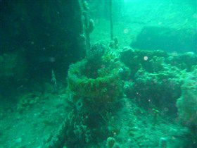 Wallaroo Scuba Club - Tourism Guide 0