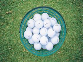Lameroo Golf Club - Tourism Guide 0