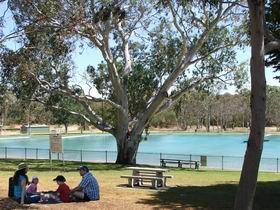 Naracoorte Nature Park And Swimming Lake - Tourism Guide 0