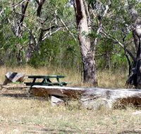 Penola Conservation Park - Tourism Guide
