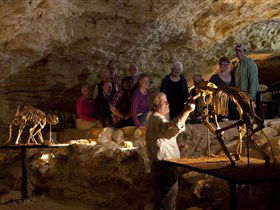 Naracoorte Caves National Park - Tourism Guide 0