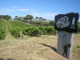 Mollydooker Wines - Tourism Guide 0