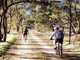 Bike About Mountain Bike Tours And Hire - Tourism Guide 0