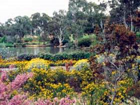 Wittunga Botanic Garden - Tourism Guide 0