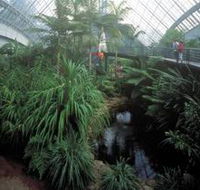 Bicentennial Conservatory - Tourism Guide