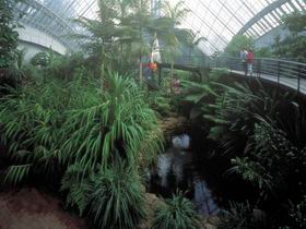 Bicentennial Conservatory - Tourism Guide 0