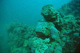 Adelaide's Underwater Heritage Trail - Tourism Guide 0