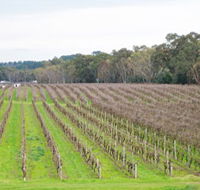 Dennis Wines - Tourism Guide