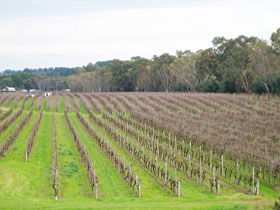 Dennis Wines - Tourism Guide 0