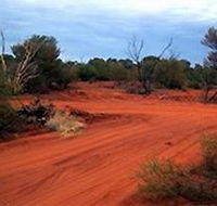Tallaringa Conservation Park - Tourism Guide