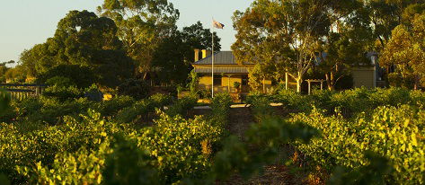 Greenock Creek Wines - Travel Agents 2