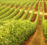 Schild Estate Wines - Travel Agents