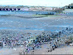 Jervois Basin Ships' Graveyard - Tourism Guide 0