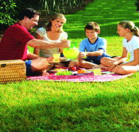 Bruny Island Berry Farm - Tourism Guide