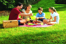 Bruny Island Berry Farm - Tourism Guide 0