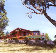 Barringwood Park Vineyard - Tourism Guide