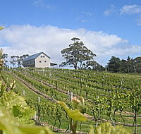 Bruny Island Premium Wines Bar and Grill - Tourism Guide