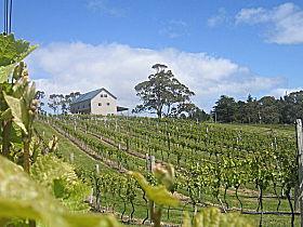 Bruny Island Premium Wines Bar And Grill - Cruises Travel 0