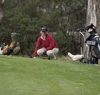Tasmania Golf Club - The - Tourism Guide