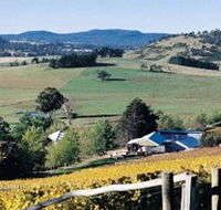 Freycinet Vineyards Pty Ltd - Tourism Guide