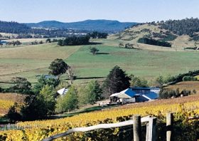 Freycinet Vineyards Pty Ltd - Cruises Travel 0