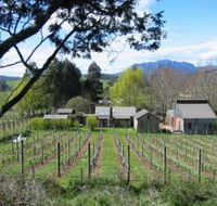 Wilmot Hills Vineyard - Tourism Guide
