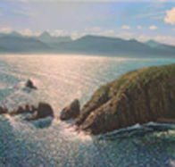 Colville Street Art Gallery - Cruises Travel