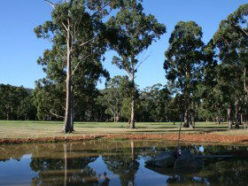 Huon Valley Golf Club - Cruises Travel 0