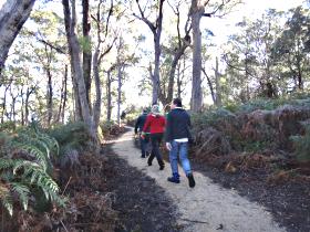 Bridport Walking Track - Tourism Guide 0